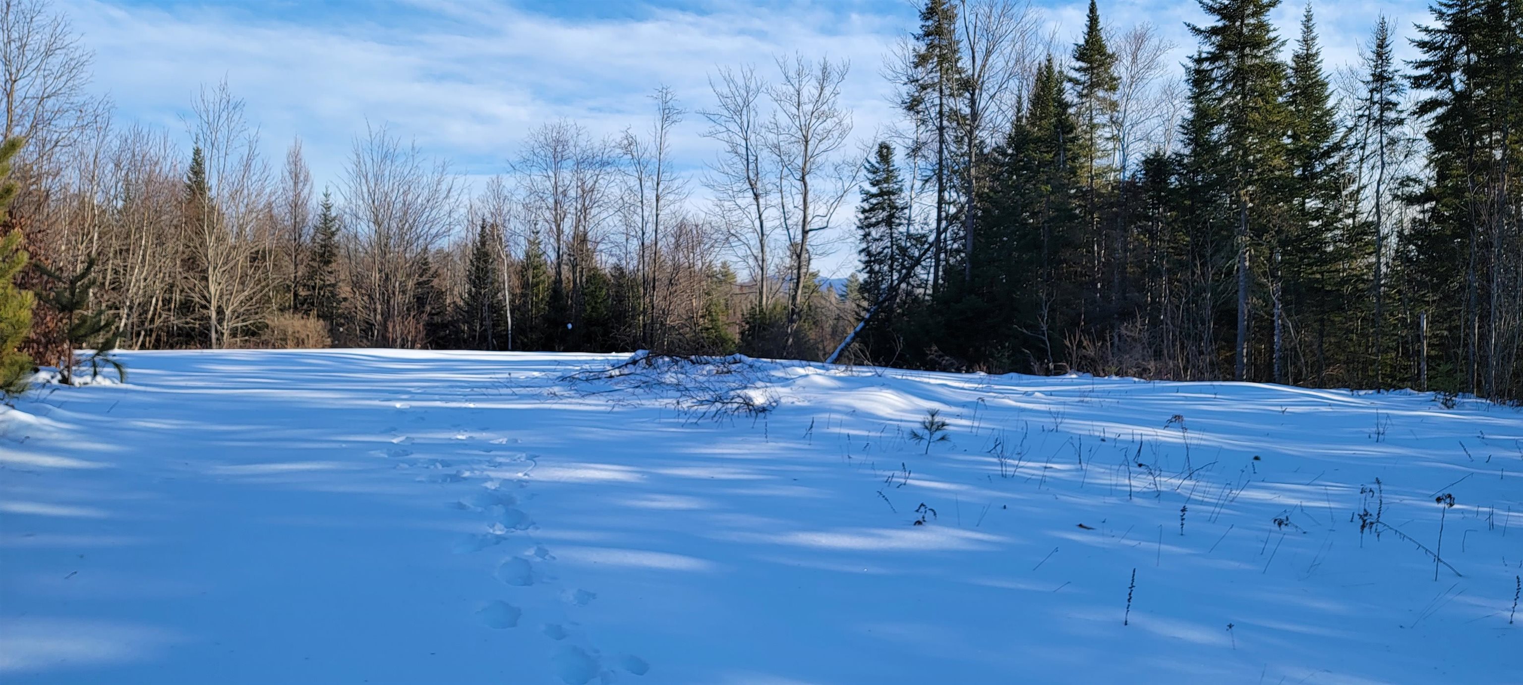 Lot 12.1 Gene's Road Whitefield, NH 03598 - Photo 32 of 38