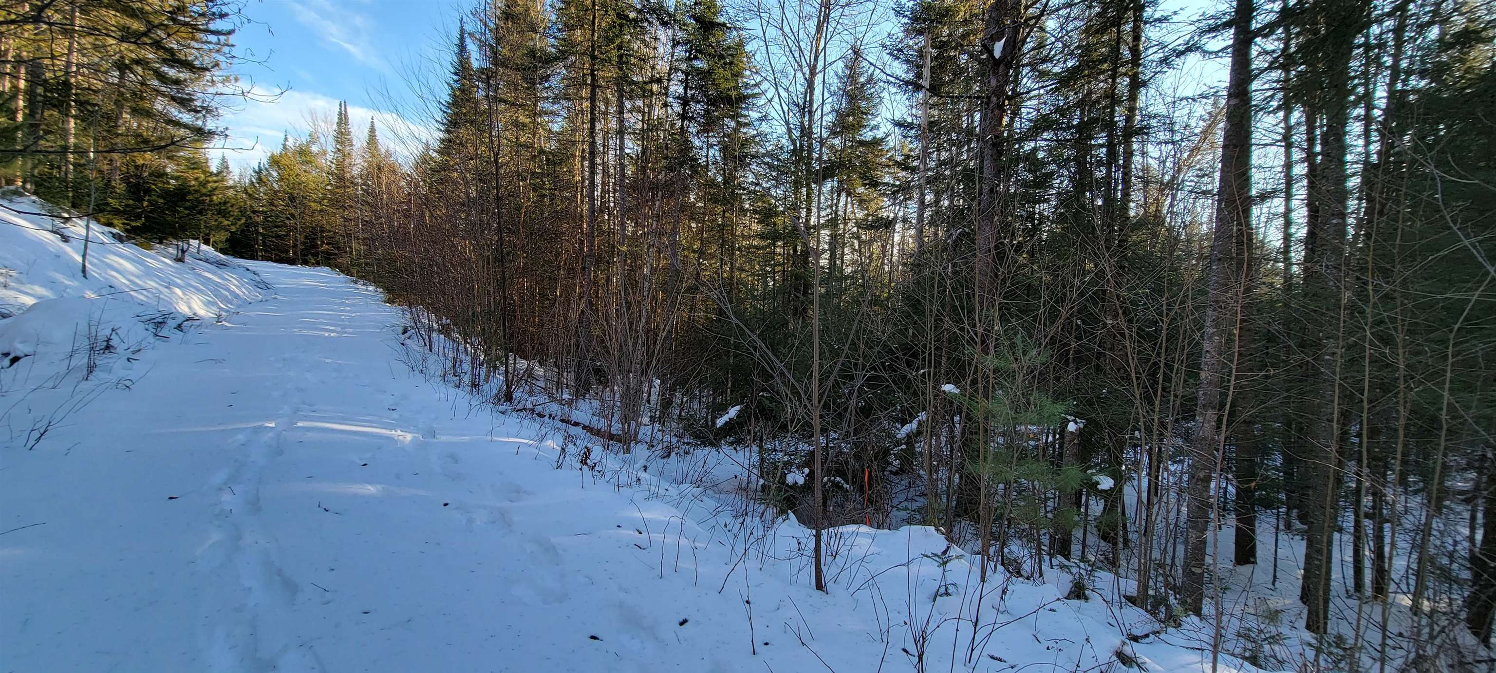 Lot 12.1 Gene's Road Whitefield, NH 03598 - Photo 33 of 38