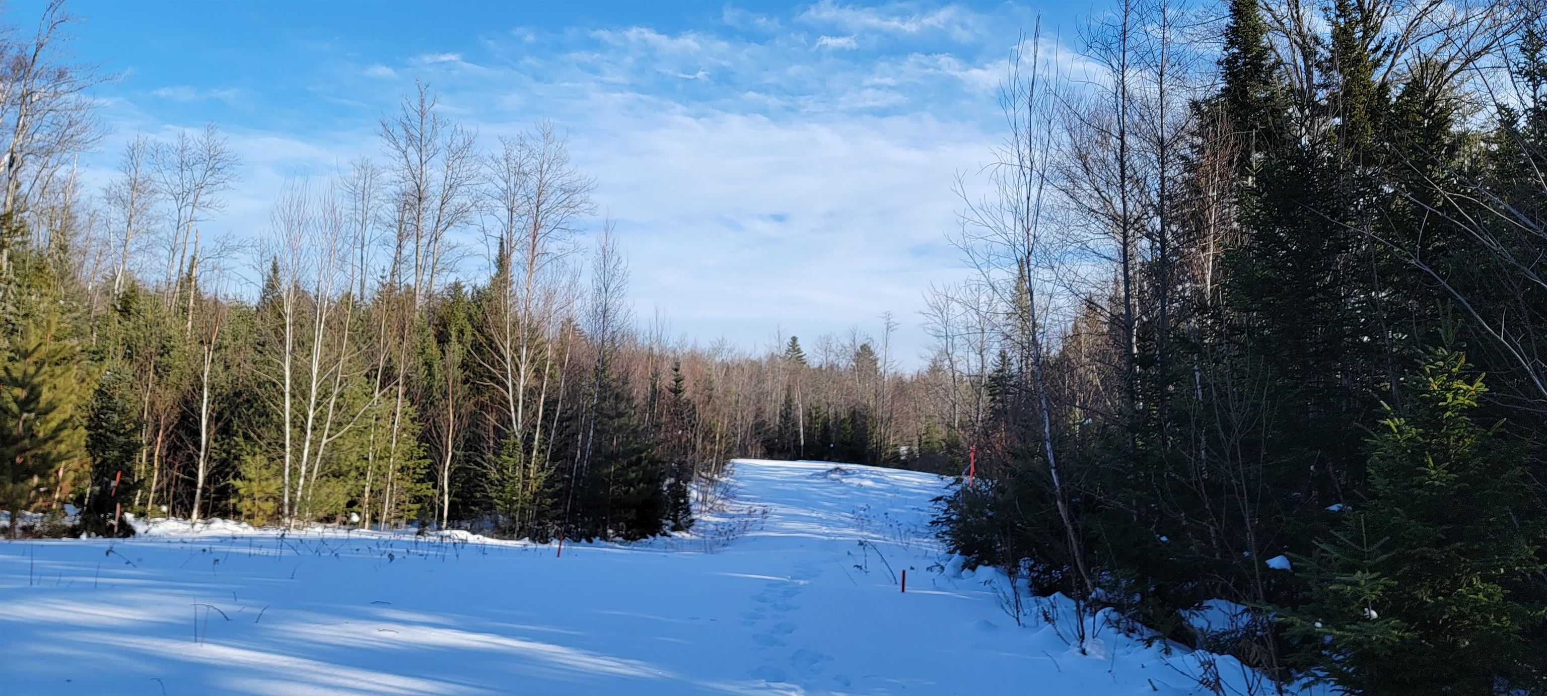 Lot 12.1 Gene's Road Whitefield, NH 03598 - Photo 34 of 38