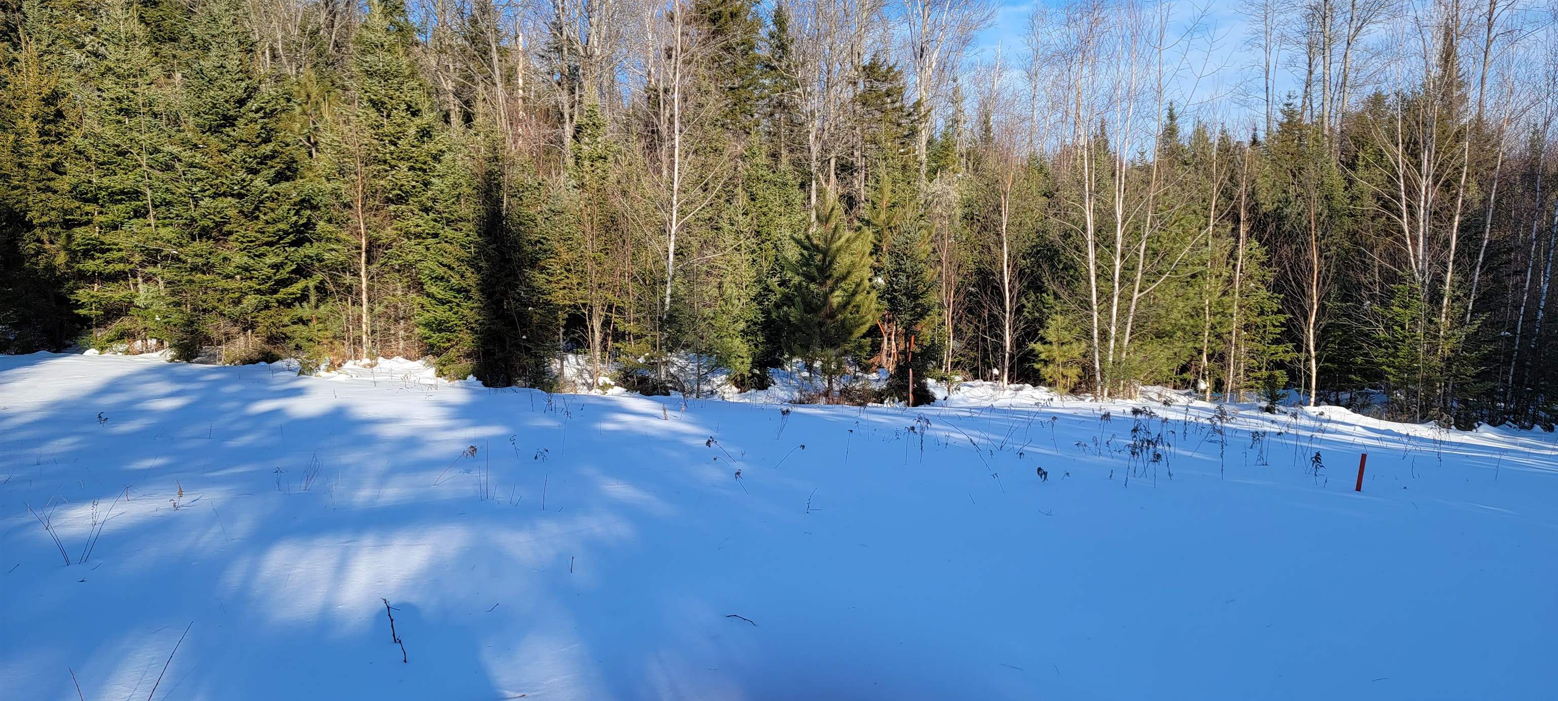 Lot 12.1 Gene's Road Whitefield, NH 03598 - Photo 36 of 38