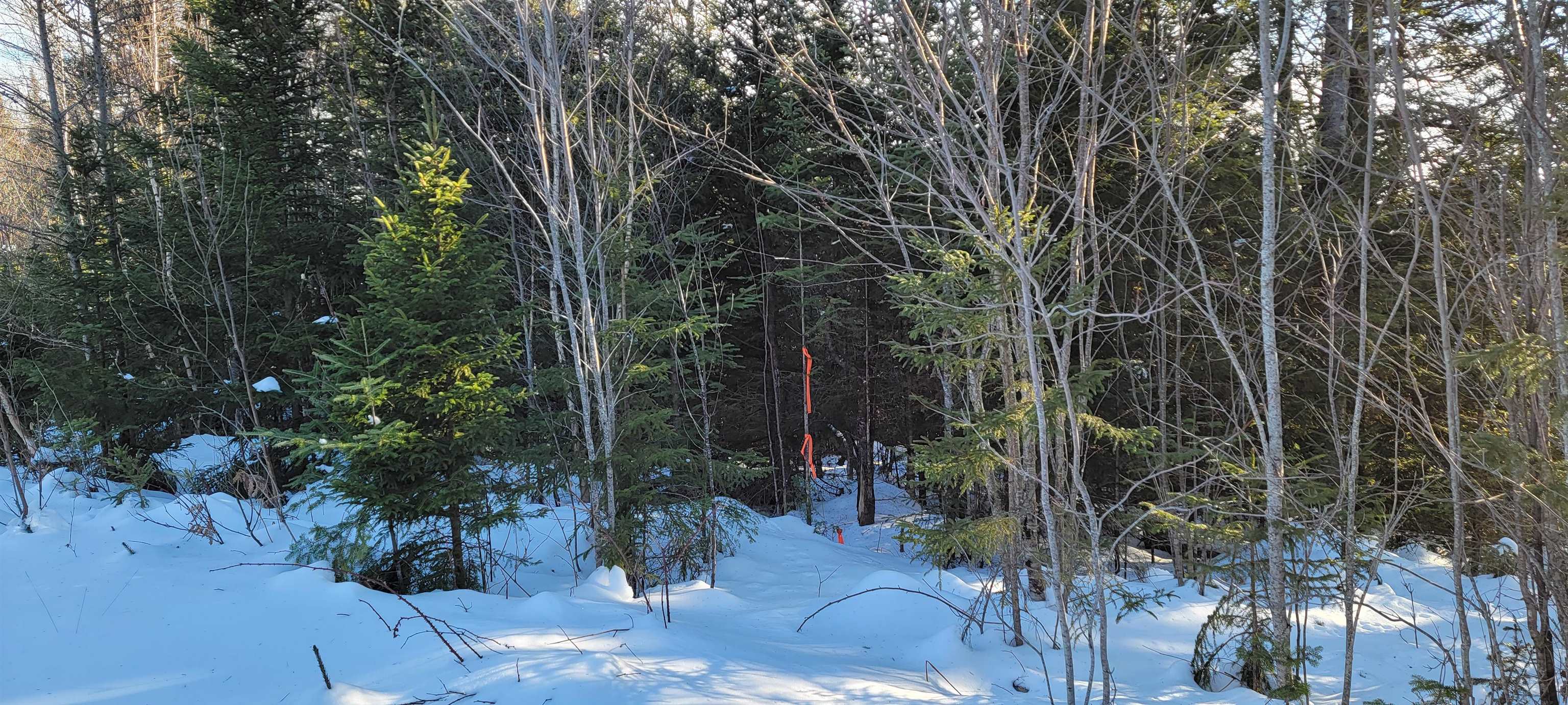Lot 12.1 Gene's Road Whitefield, NH 03598 - Photo 37 of 38