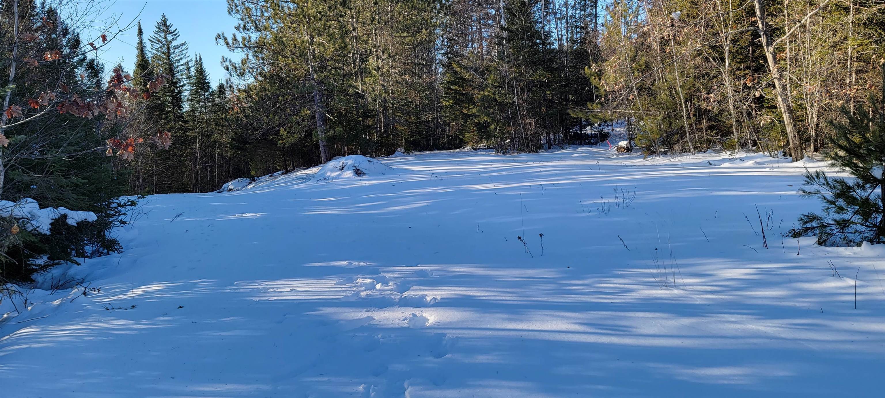 Lot 12.1 Gene's Road Whitefield, NH 03598 - Photo 38 of 38