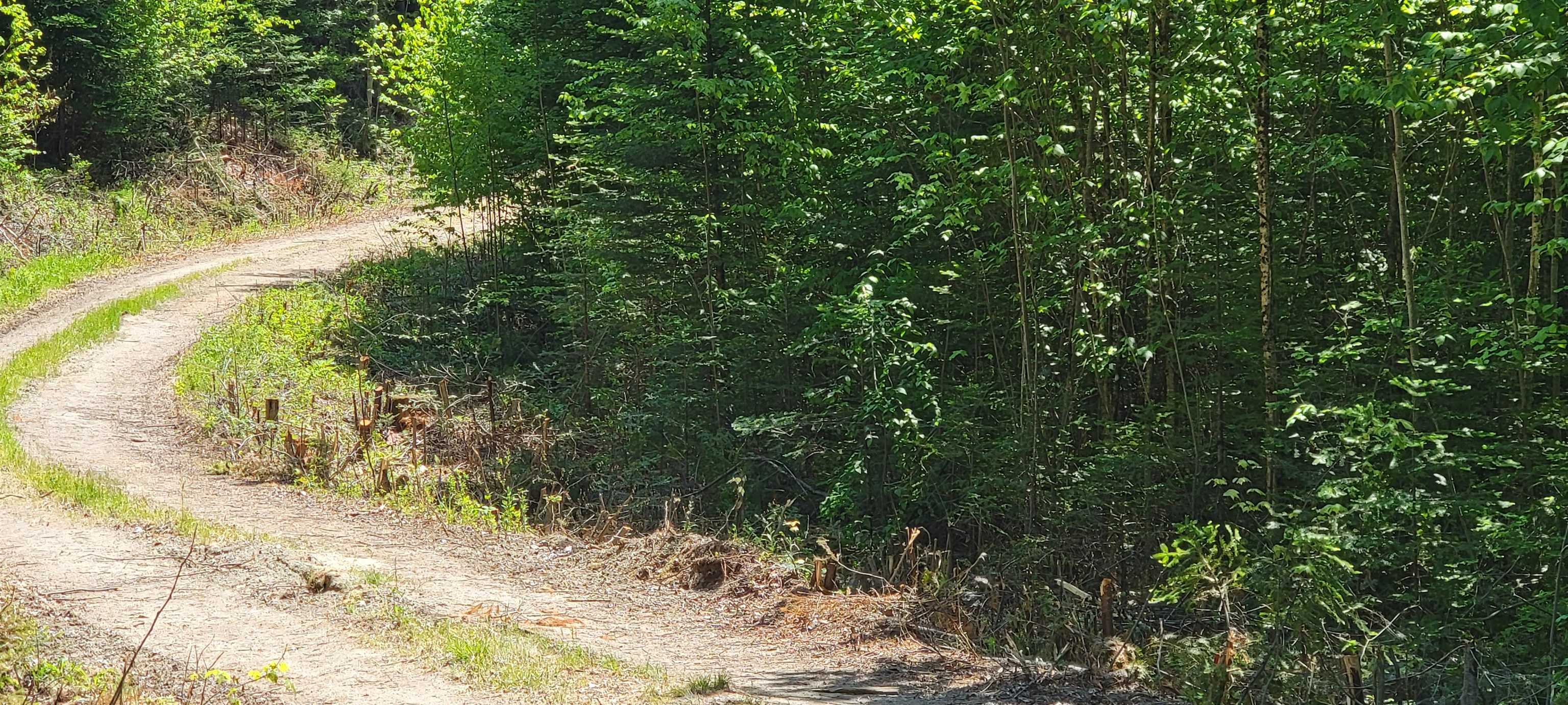 Lot 12.1 Gene's Road Whitefield, NH 03598 - Photo 5 of 38