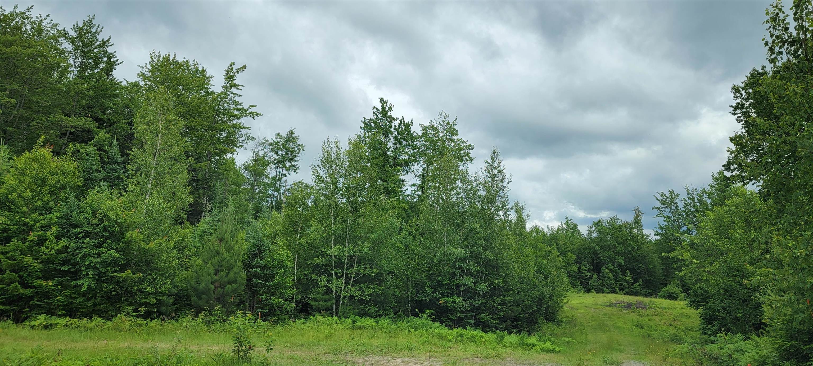 Lot 12.1 Gene's Road Whitefield, NH 03598 - Photo 8 of 38