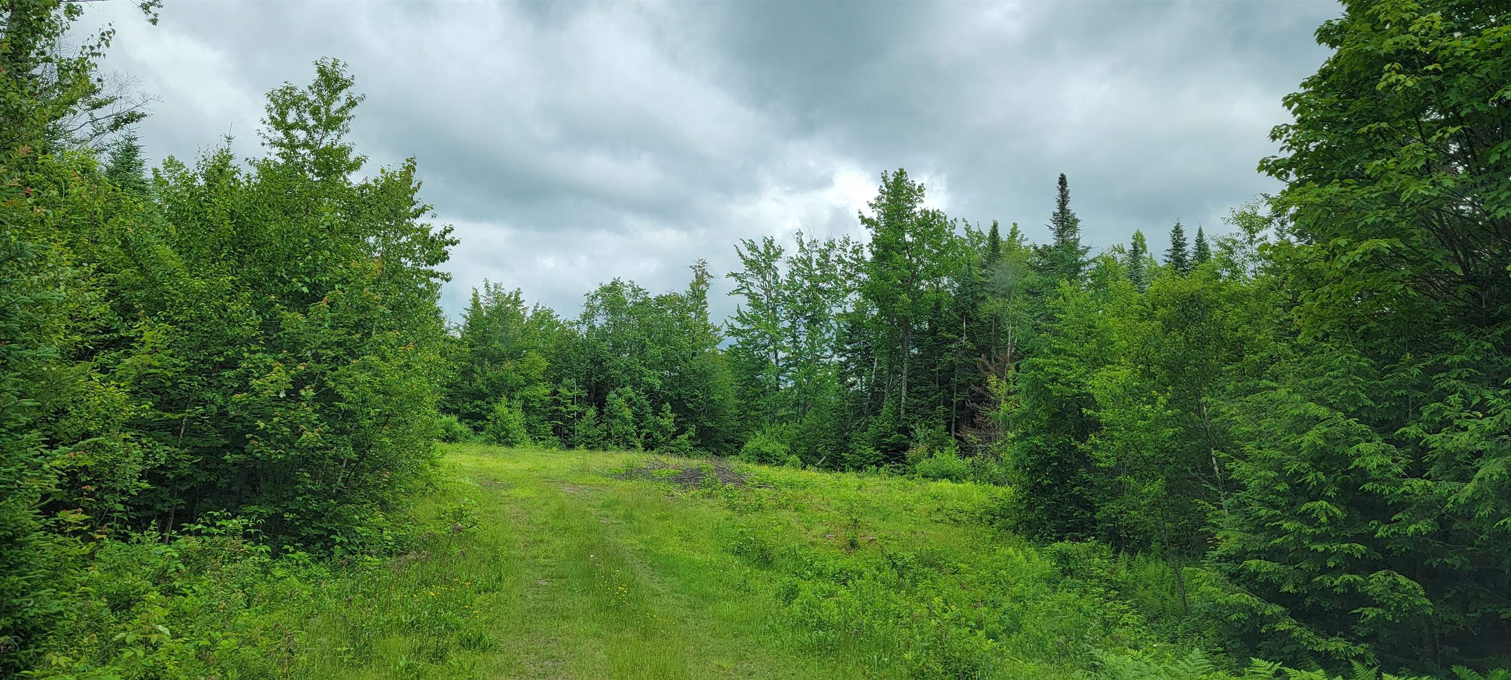 Lot 12.1 Gene's Road Whitefield, NH 03598 - Photo 10 of 38