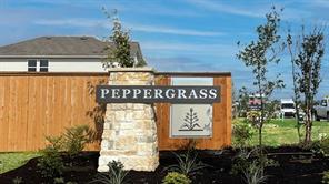 12008 Roving Pass Elgin, TX 78621 - Photo 2 of 20 a sign on the side of a building