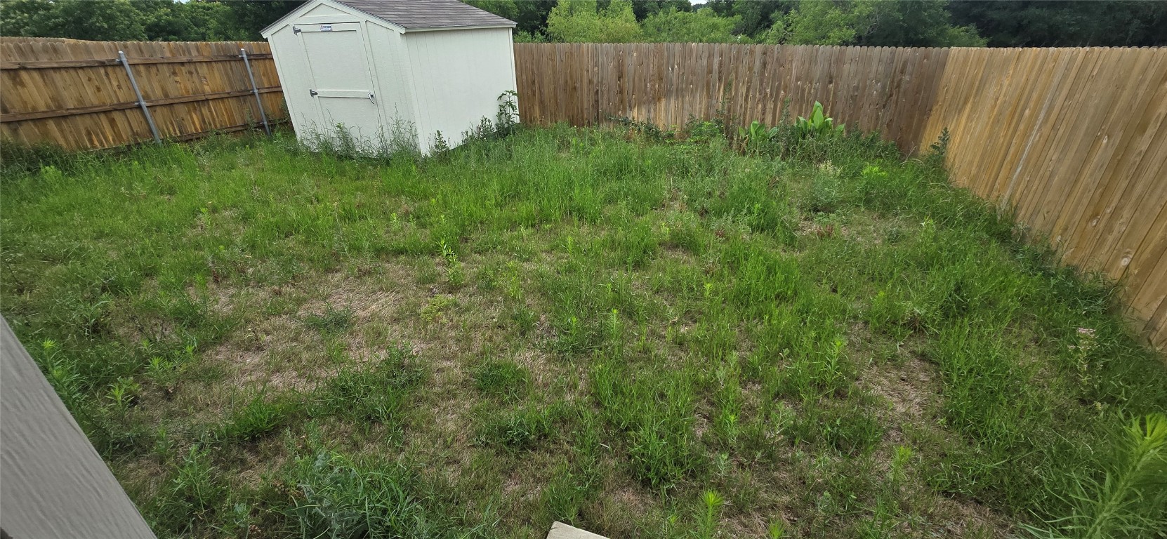 12008 Roving Pass Elgin, TX 78621 - Photo 5 of 9