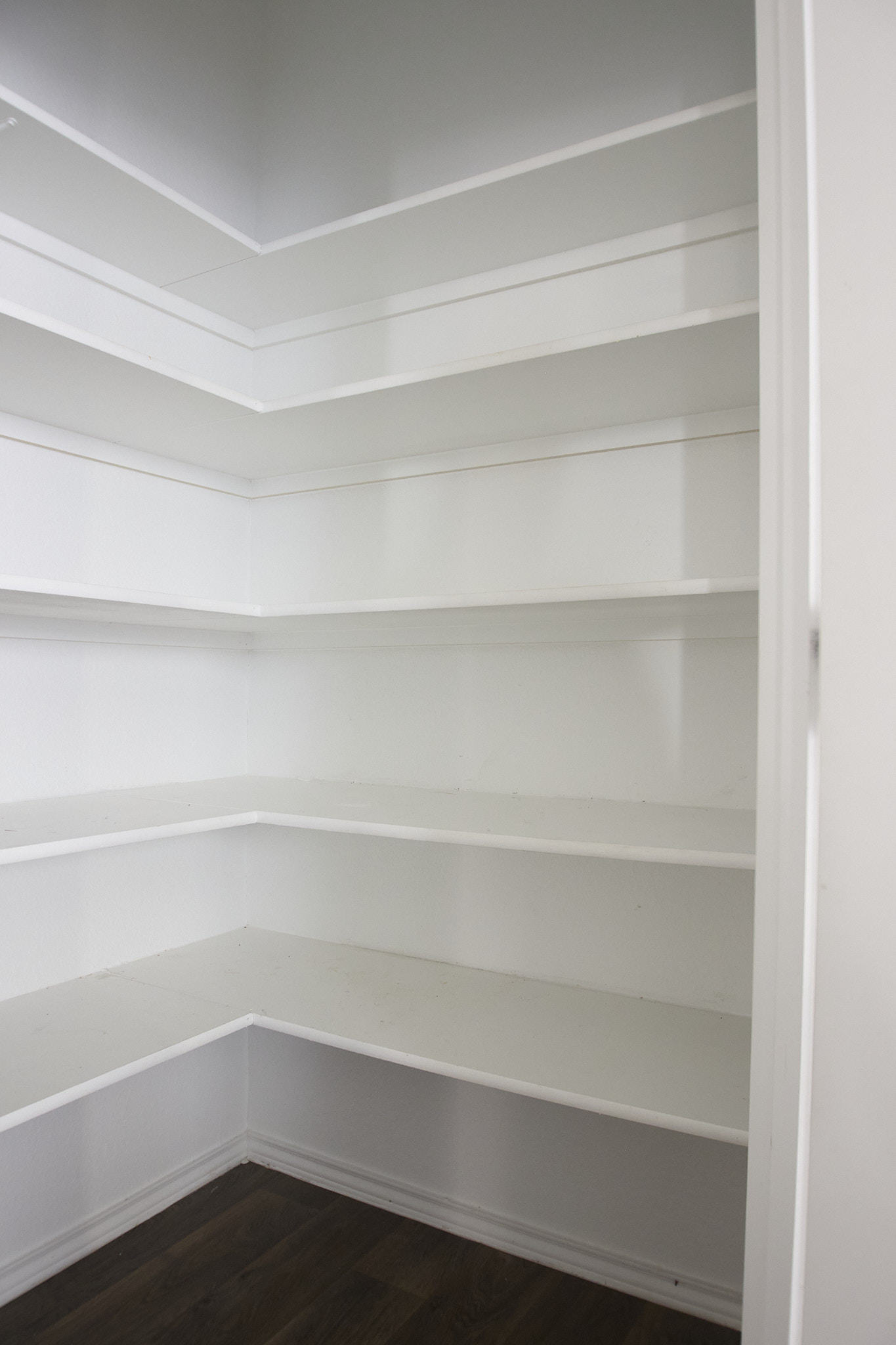 12008 Roving Pass Elgin, TX 78621 - Photo 9 of 20 Super Roomy Pantry/ Storage space!