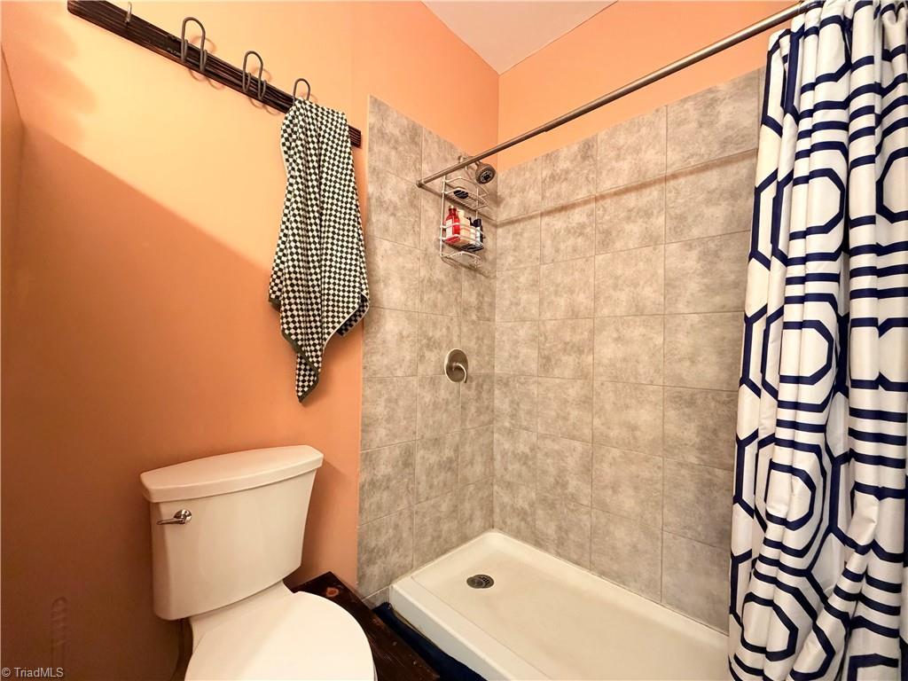 2668 Reedy Branch Road Purlear, NC 28665 - Photo 22 of 45