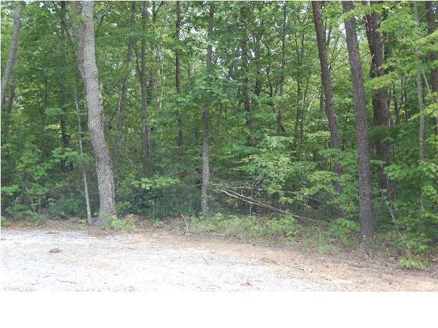 16 Ralphs Way Rising Fawn, GA 30731 - Photo 1 of 3 Primary Photo
