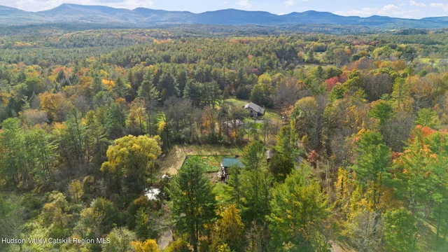 a view of a lush green forest with lots of trees