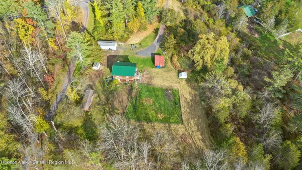 a close up of a trees