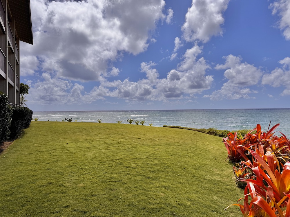 320 Papaloa Road, Unit 102 Kapaa, HI 96746 - Photo 19 of 22