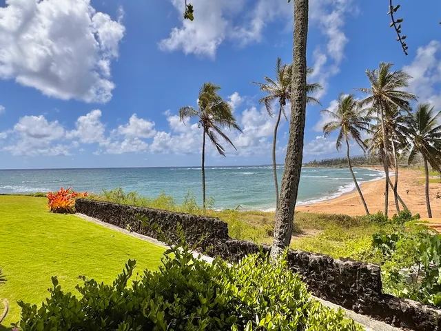 a view of an ocean and beach