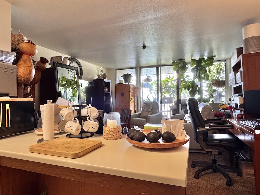 320 Papaloa Road, Unit 102 Kapaa, HI 96746 - Photo 6 of 22 a living room with furniture and a fireplace