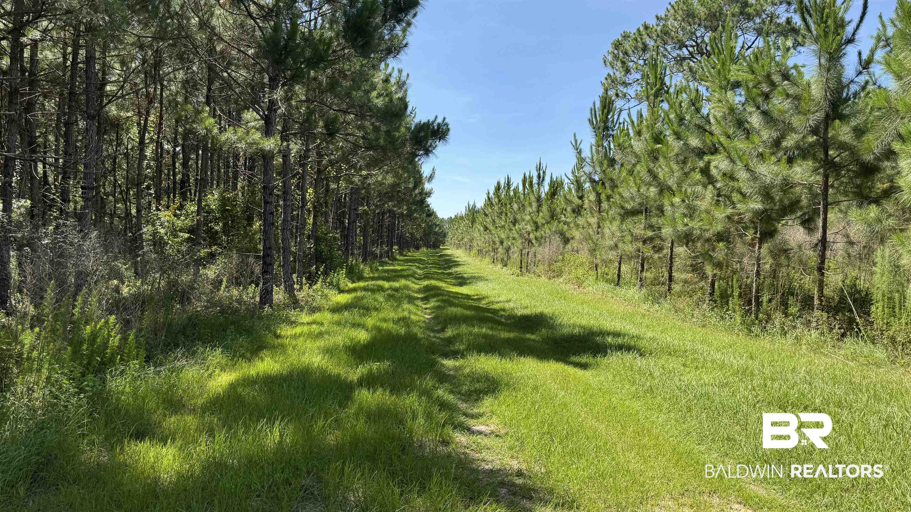 0 County Road 87 Elberta, AL 36530 - Photo 39 of 46