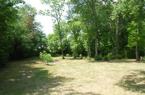 111 Farmer Road Rockford, TN 37853 - Photo 3 of 8 Back Yard