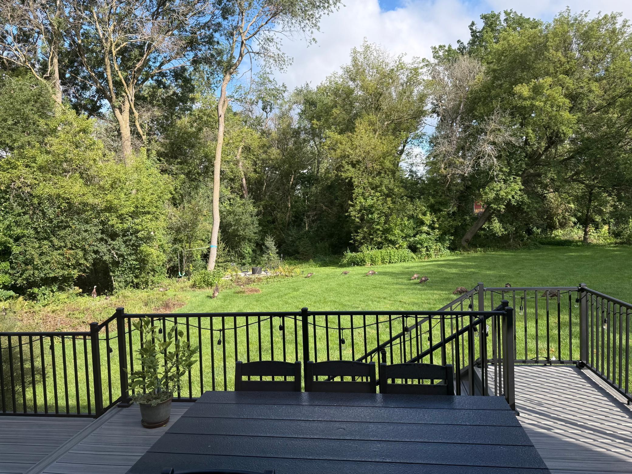 5435 Howard Street Northwest Rochester, MN 55901 - Photo 39 of 51