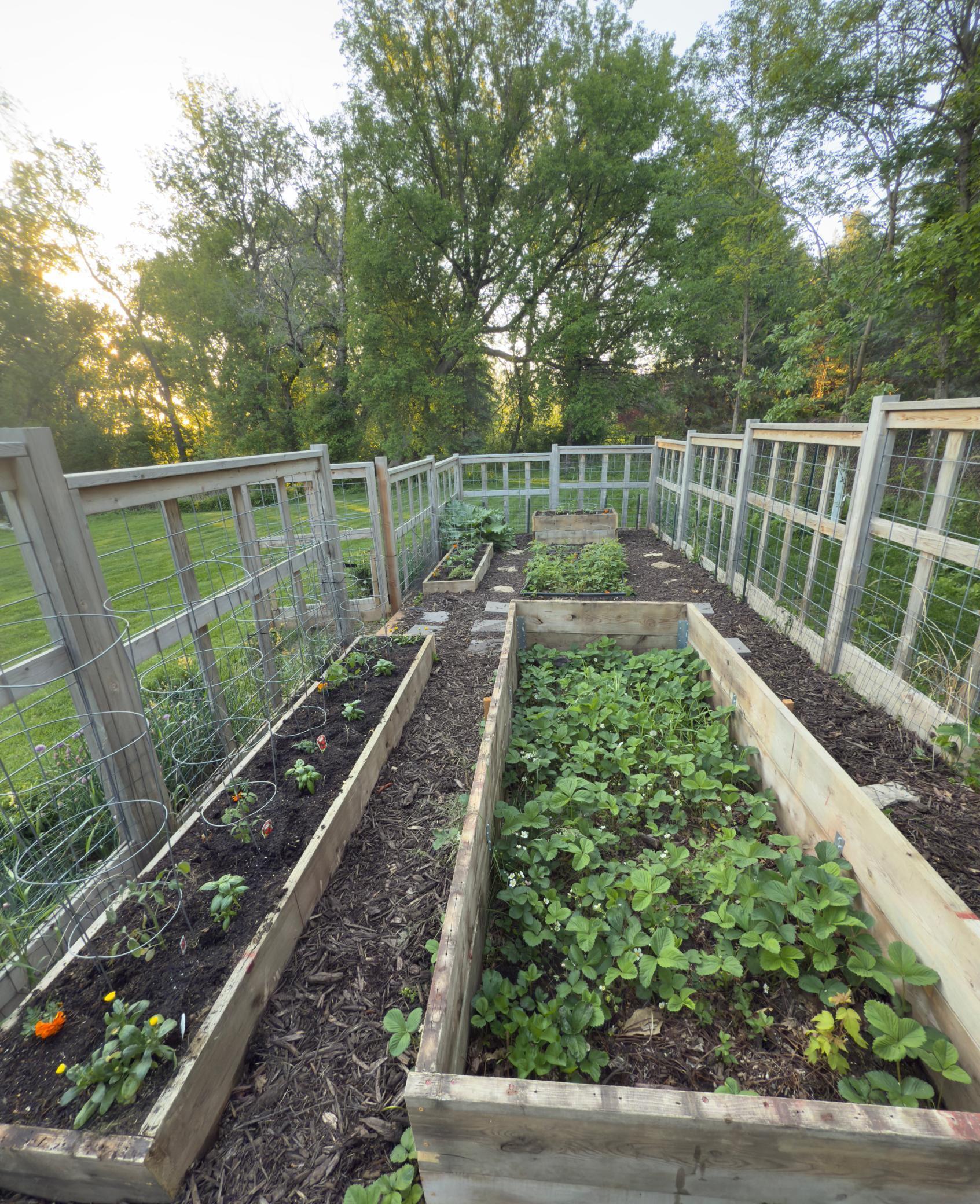 5435 Howard Street Northwest Rochester, MN 55901 - Photo 43 of 51