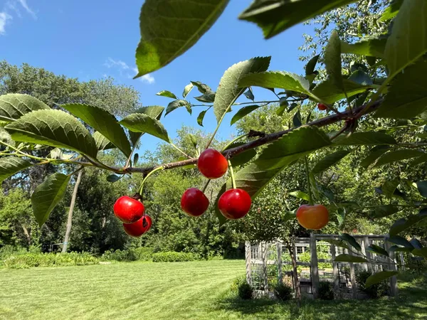 $1,200,000 | 5435 Howard Street Northwest, Rochester, MN 55901