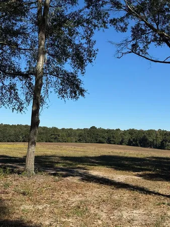 $165,000 | 429 East Skyline Avenue, Geneva, AL 36340