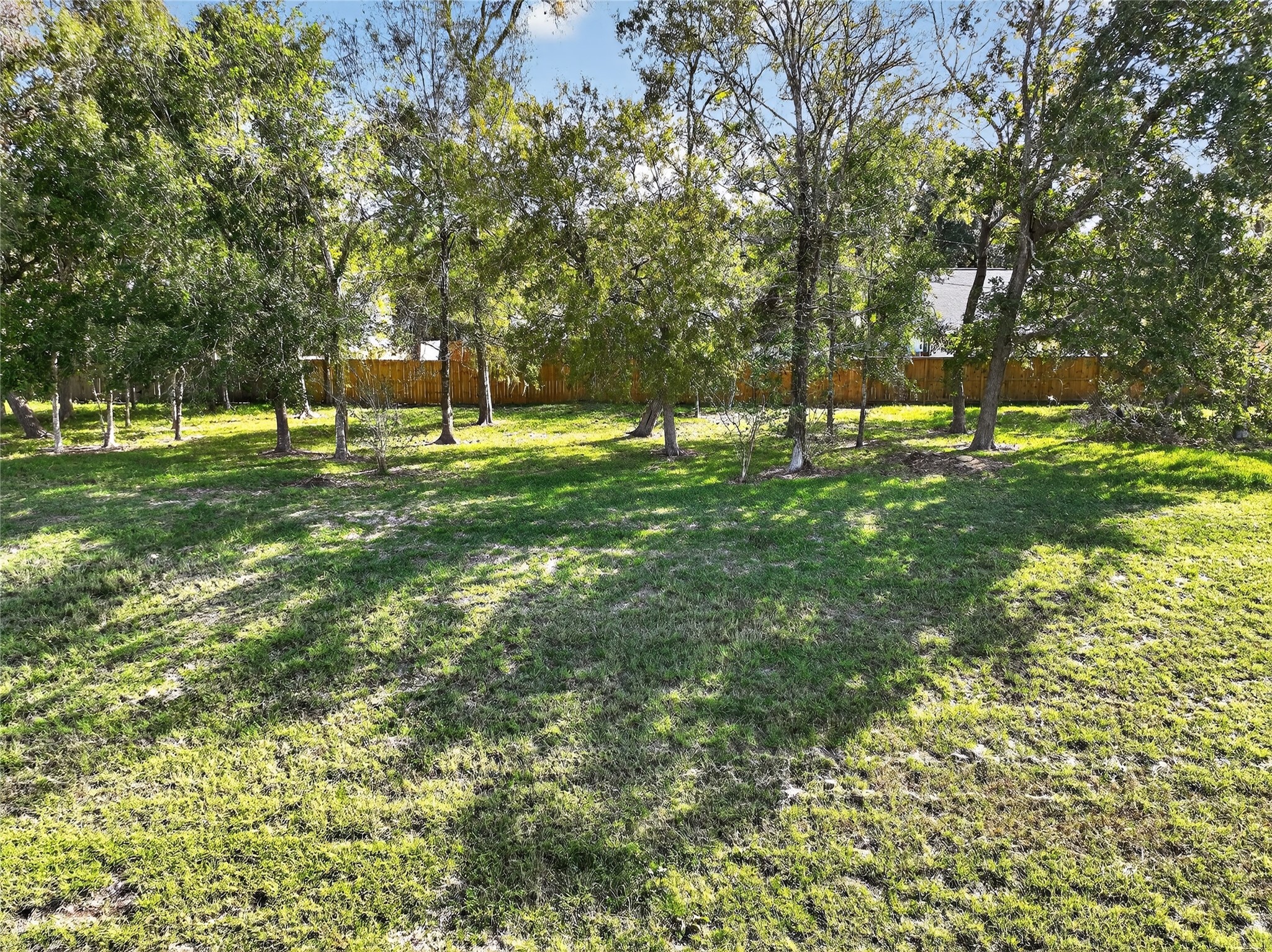 133 Cherry Tree Lane Friendswood, TX 77546 - Photo 24 of 27 a view of a park with large trees