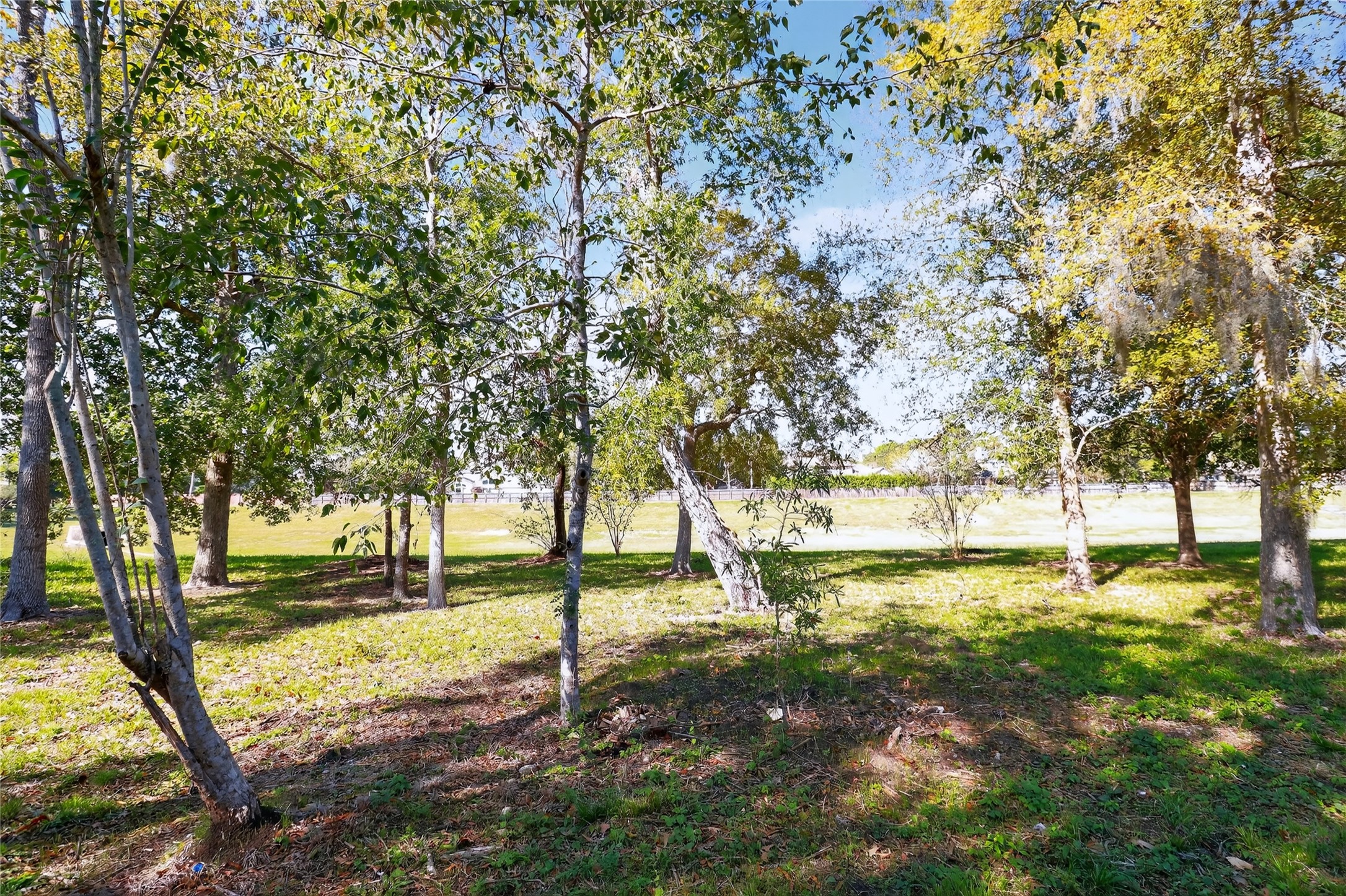 133 Cherry Tree Lane Friendswood, TX 77546 - Photo 25 of 27 a view of yard with trees