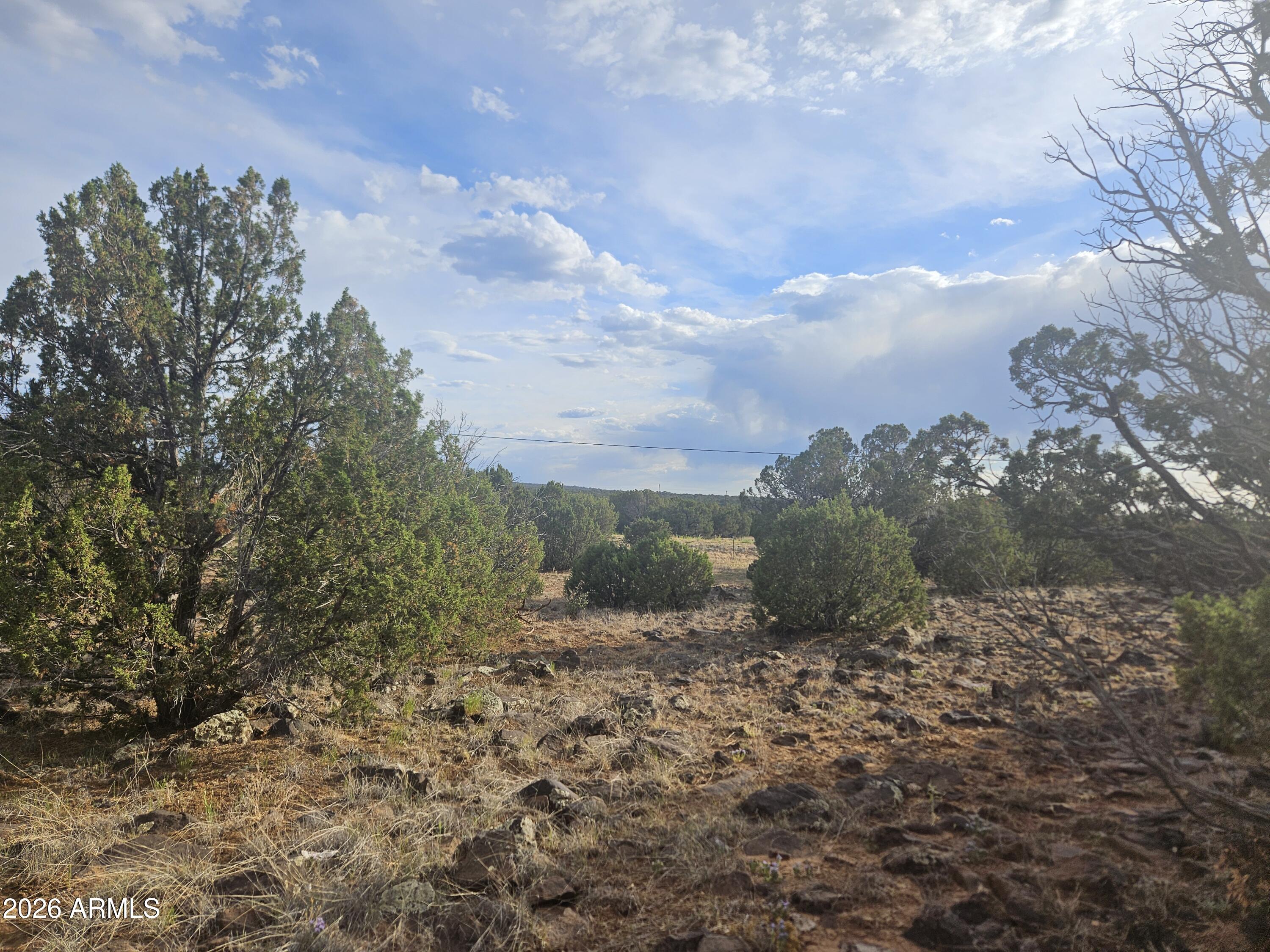 2429 Bourdon Ranch Road, Unit F Show Low, AZ 85901 - Photo 11 of 11