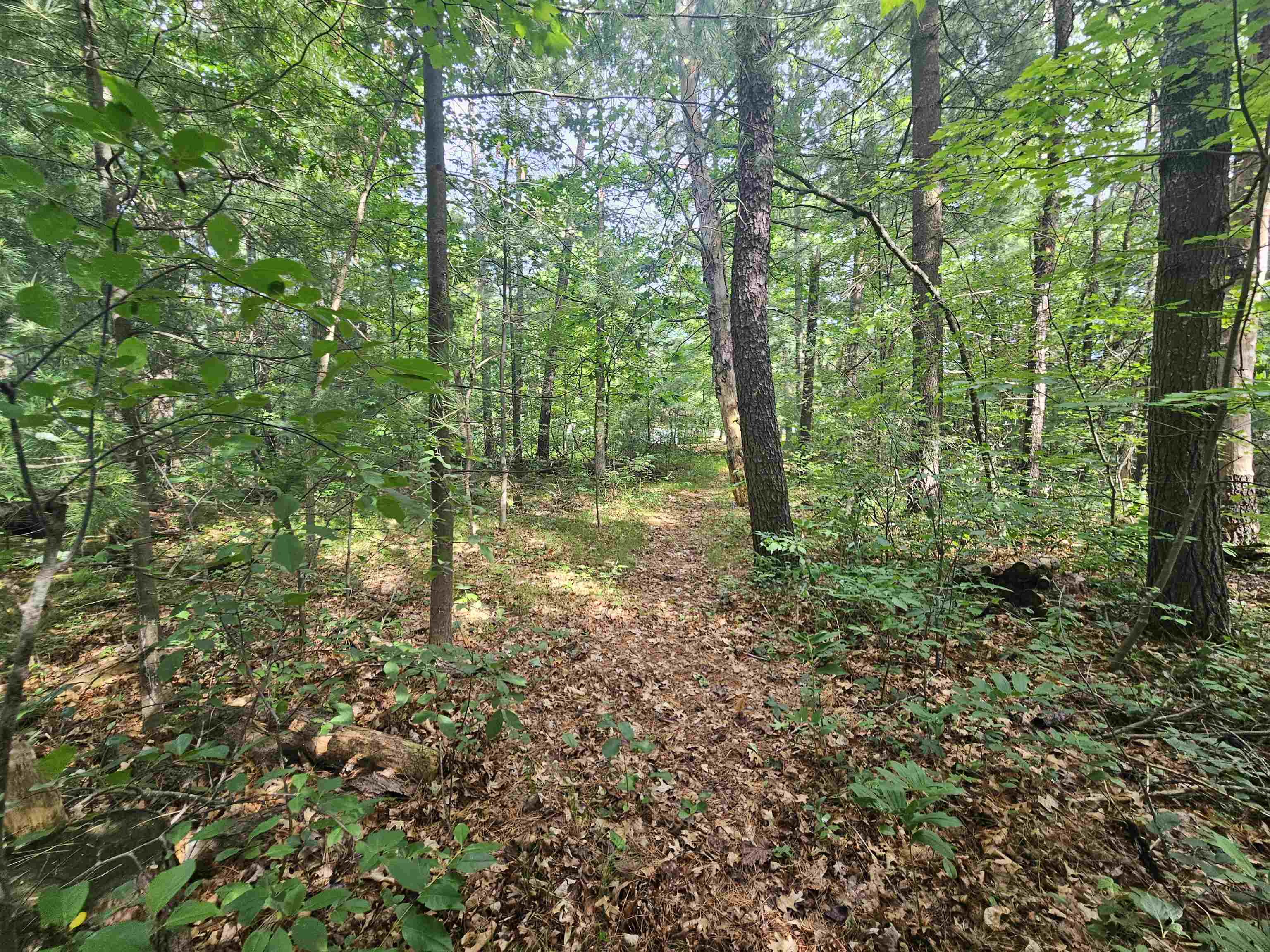 1914 Mina Road Harrison, MI 48625 - Photo 28 of 28
