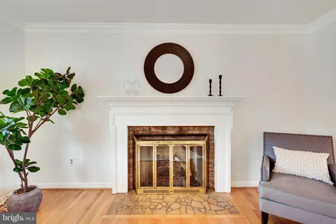 a living room with a fireplace and a potted plant