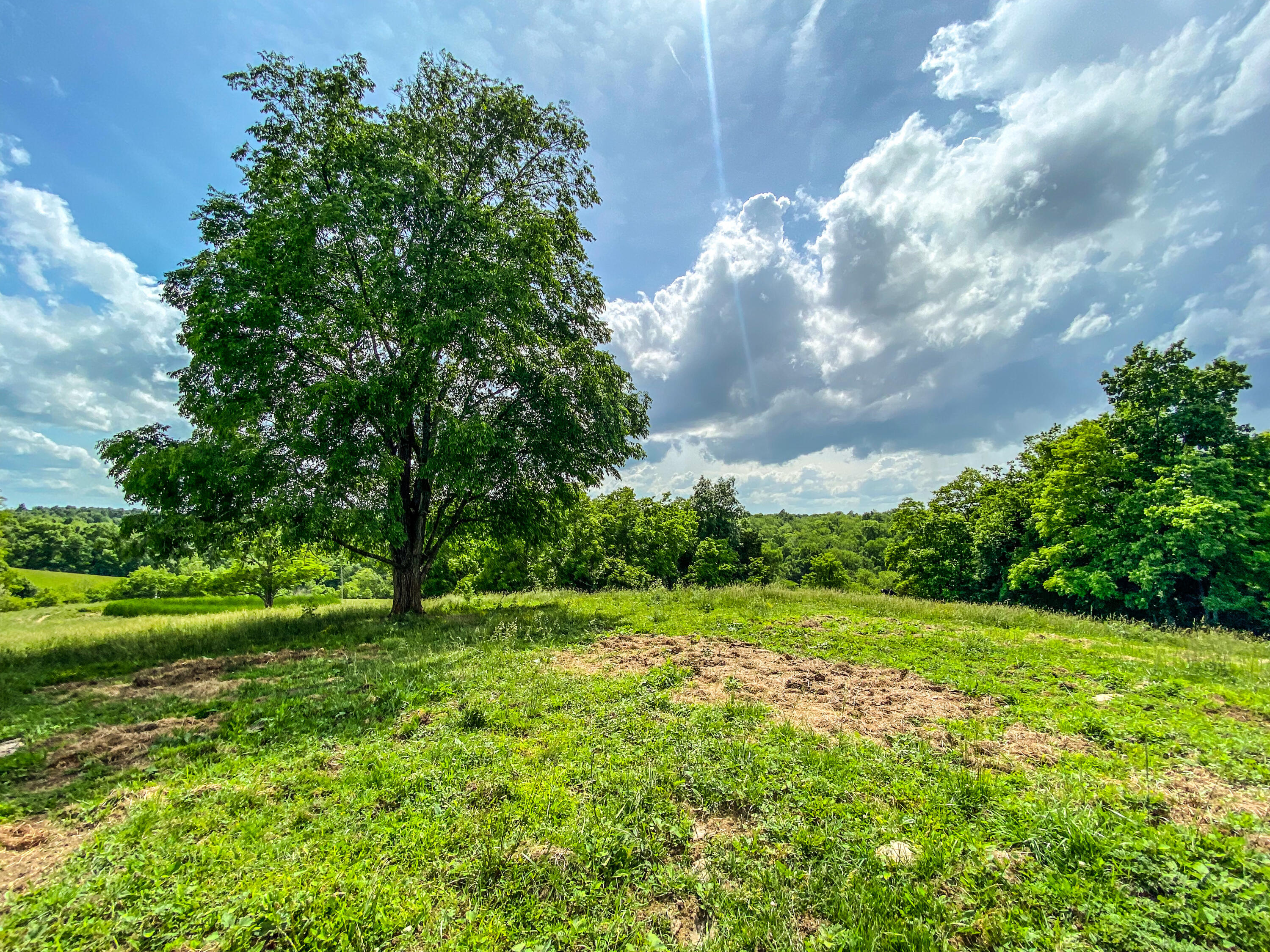 962 Saltwell Road Carlisle, KY 40311 - Photo 7 of 11 Photo May 25, 3 50 25 PM