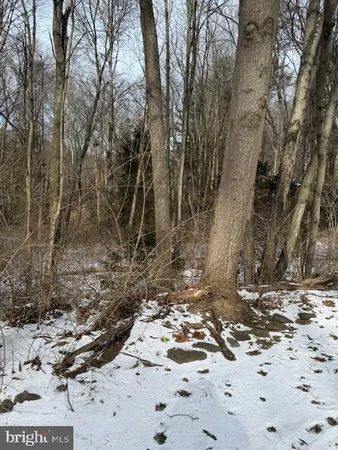 a view of a yard with trees