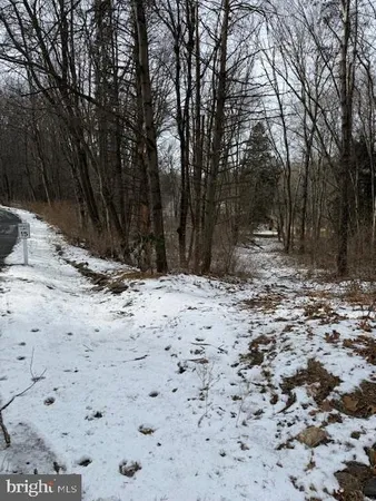 a view of dirt yard with a large tree