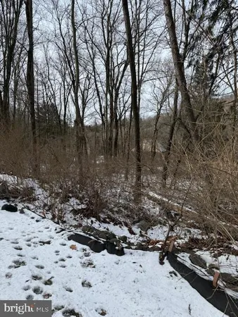 a view of a yard with trees