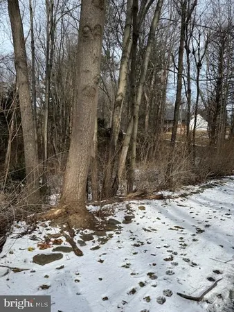a view of a road with a tree
