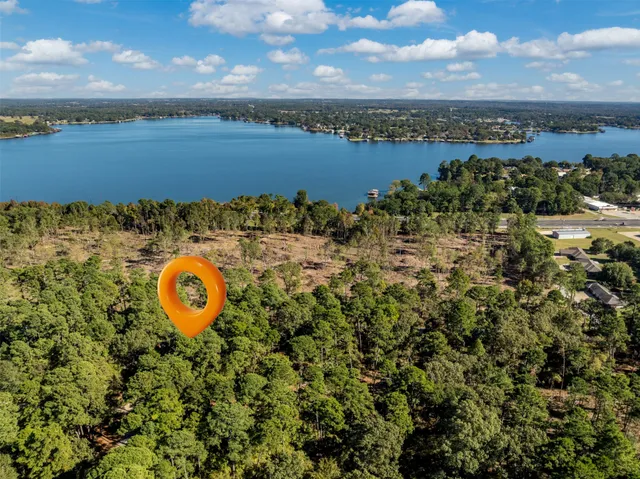 a view of a lake with a mountain in the background