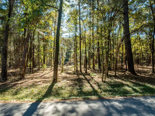 a view of outdoor space with deck