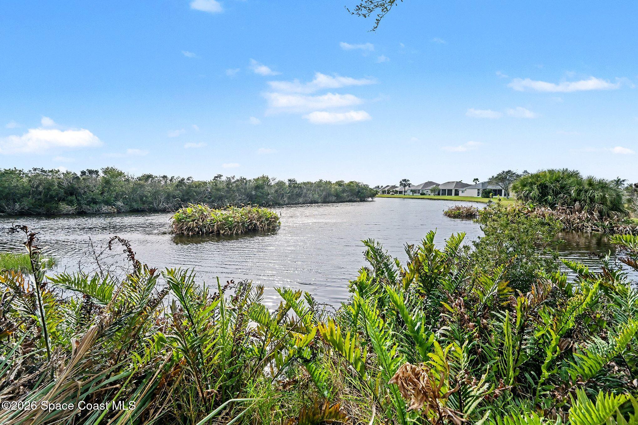 1424 Boca Rio Drive Melbourne, FL 32940 - Photo 5 of 50 a view of a lake with houses in the back
