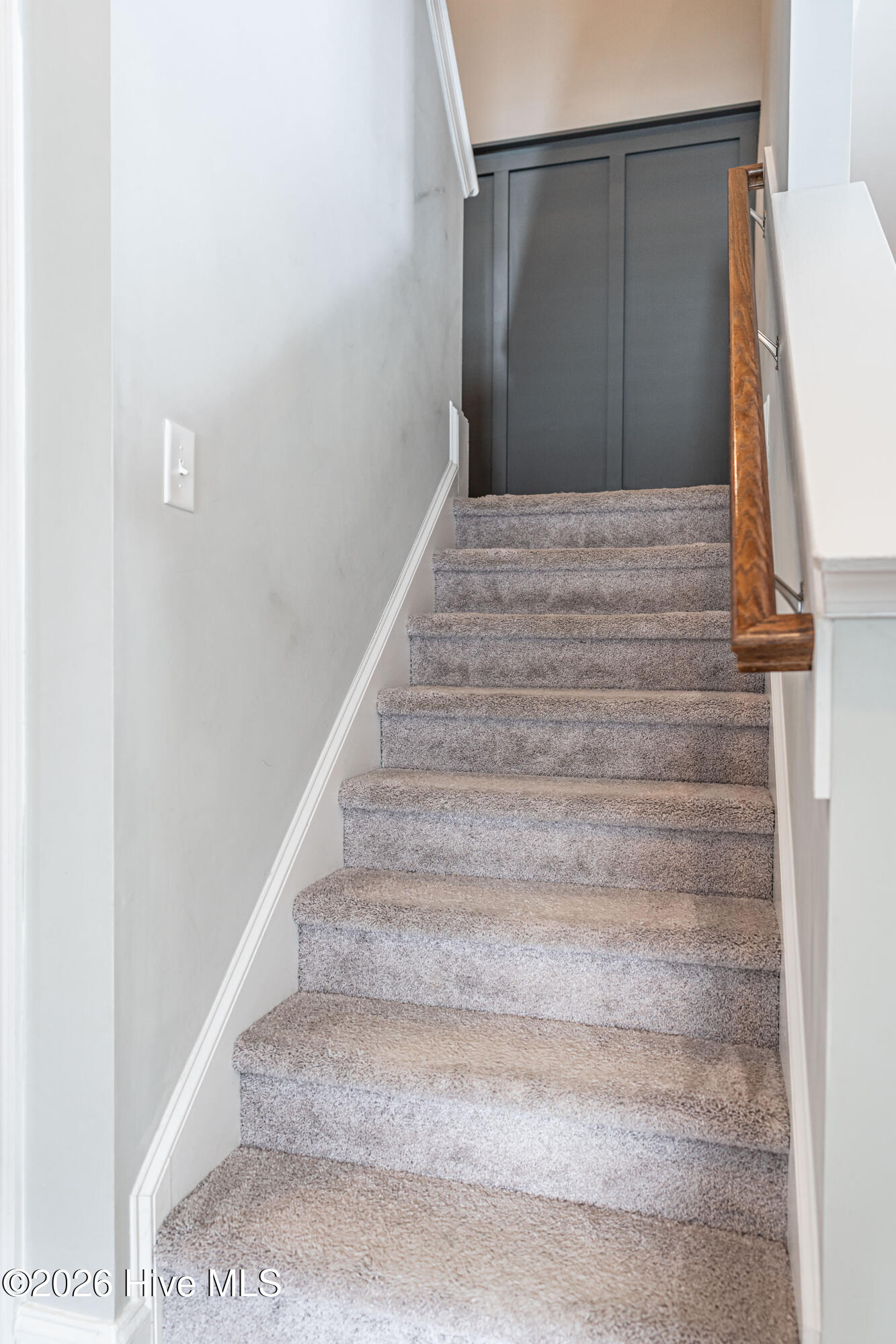 541 Abbey Road Carthage, NC 28327 - Photo 21 of 50 DSC09083