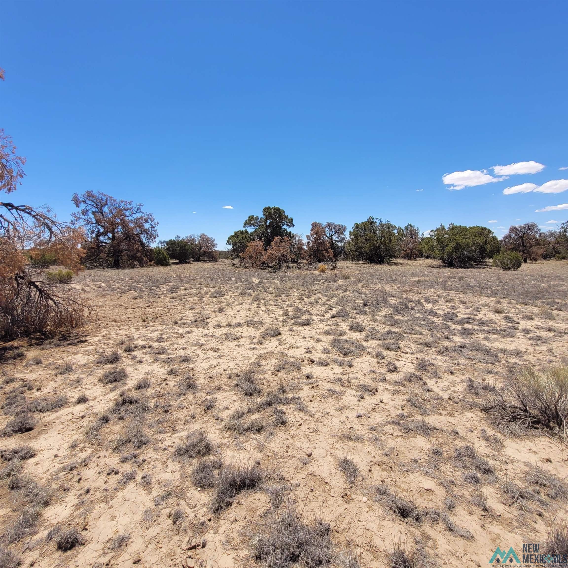 47 Southern Trail, Unit 48 47 Datil, NM 87821 - Photo 34 of 46 Gallery Image 34