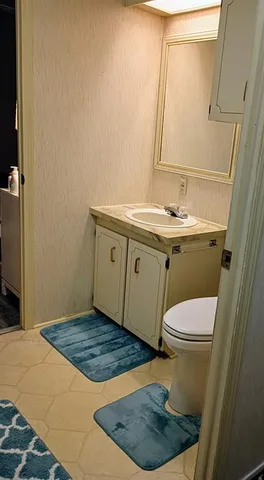 a bathroom with a sink and a toilet