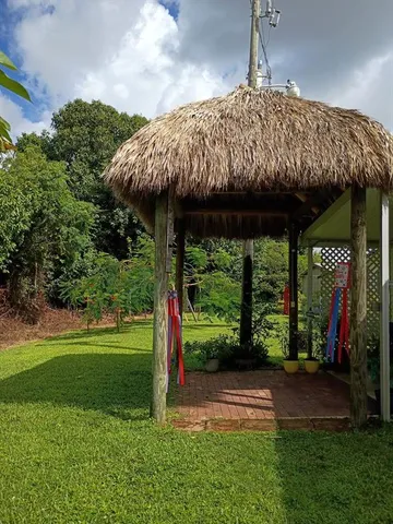 a view of a backyard with table and chairs potted plants and a palm tree