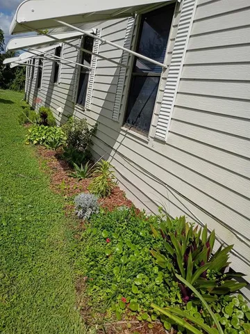 a view of a backyard with plants