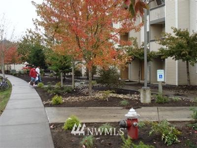 16409 Currie Road Southeast, Unit A104 Monroe, WA 98272 - Photo 1 of 1 Gallery Image 1