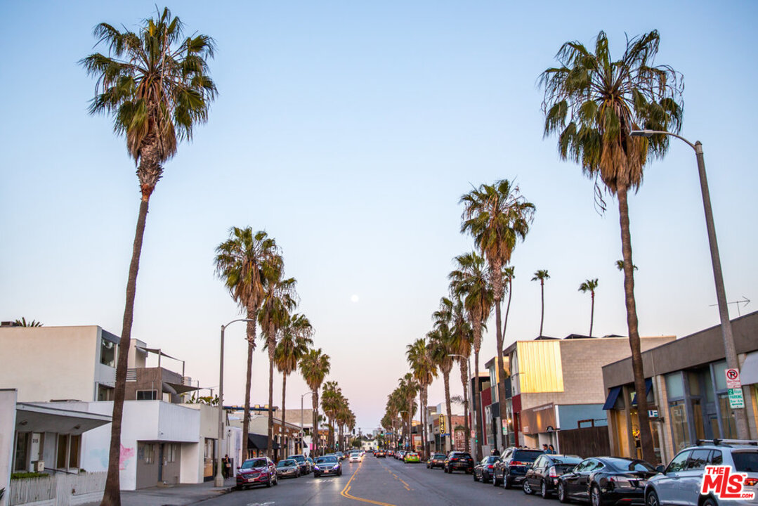 40 Westminster Avenue Venice, CA 90291 - Photo 10 of 10 a street light pole and a palm tree