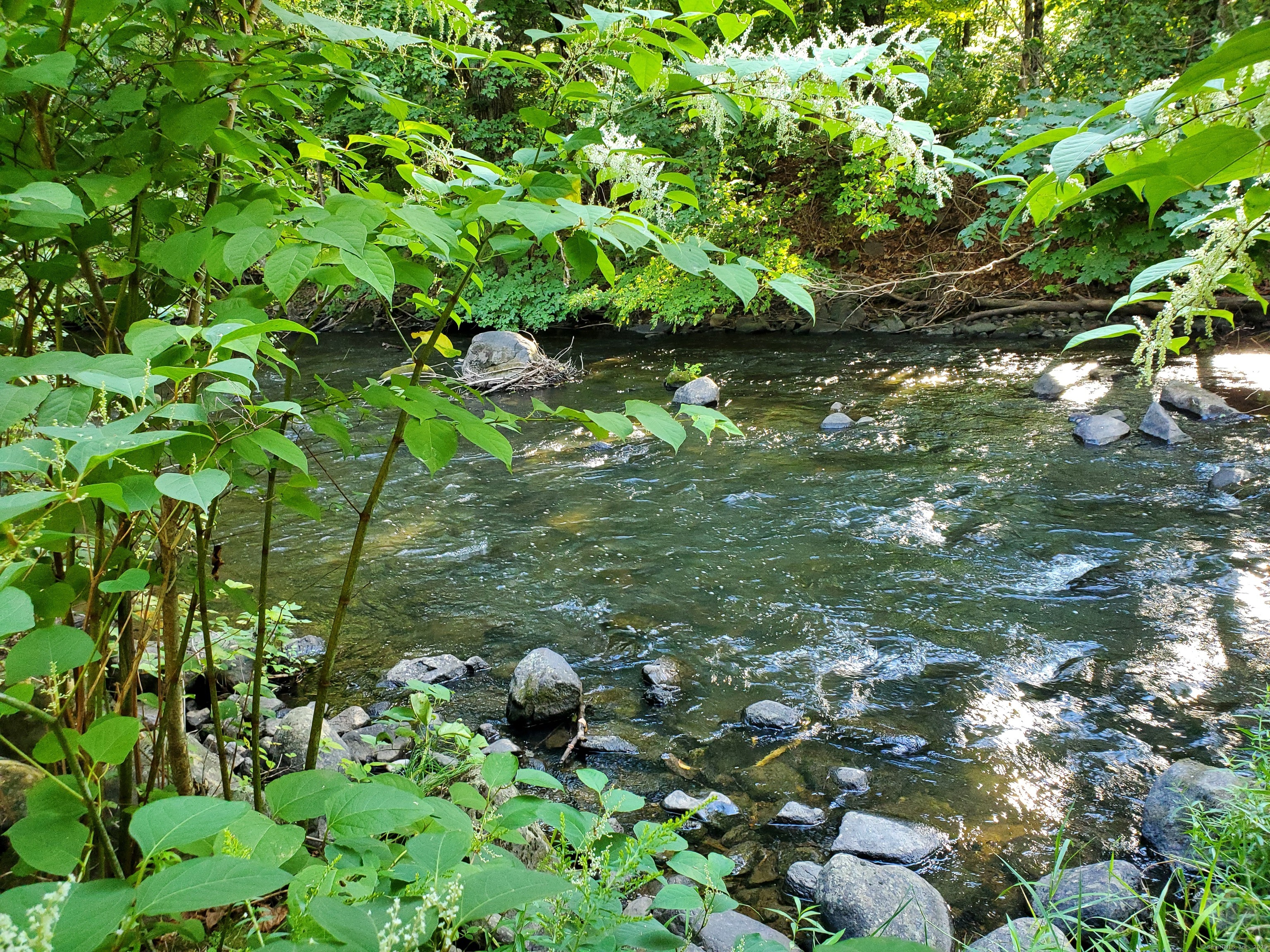 28 Trumbull Street Litchfield, CT 06750 - Photo 9 of 23 a backyard of a house with lots of green space