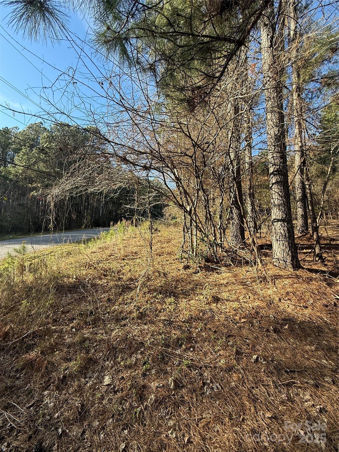 5126 Hurricane Hill Road, Unit 25 Granite Falls, NC 28630 - Photo 3 of 12 a view of a yard with a tree