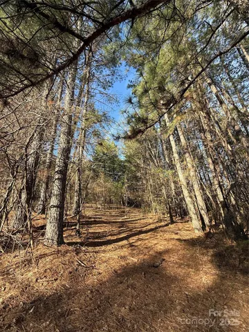 a view of backyard with green space