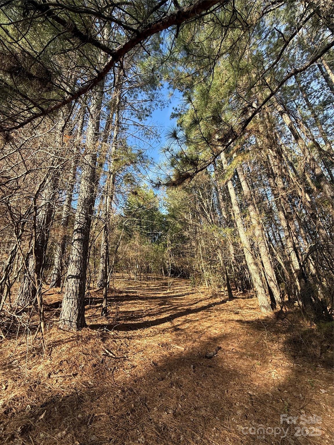 5126 Hurricane Hill Road, Unit 25 Granite Falls, NC 28630 - Photo 4 of 12 a view of backyard with green space
