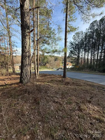 a view of outdoor space with garden